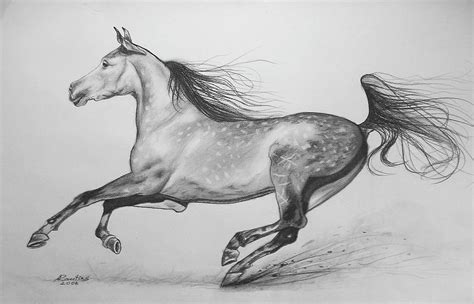 Galloping horse Drawing by Agris Rautins