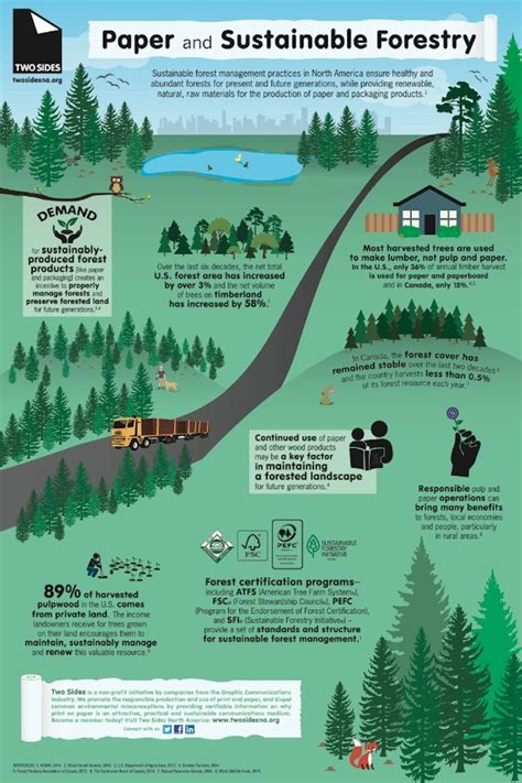 Two Sides' Myth-Busting Infographic | Sustainable forestry, Forestry, Sustainability