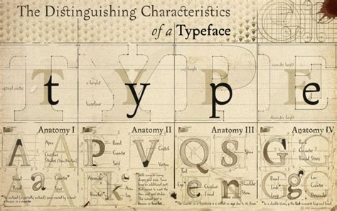 anatomy, Typography, Font, Alphabet, Drawings, Diagram, Typefaces ...