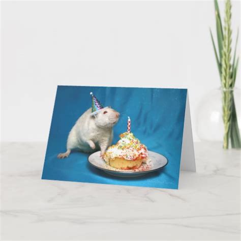 Happy Birthday Rat Card | Zazzle.com