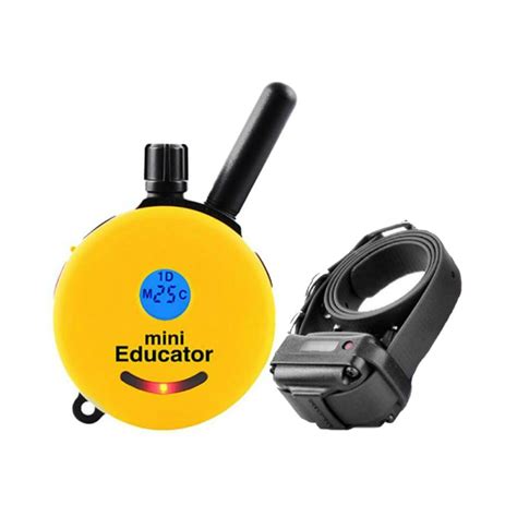 Mini Educator E Collar | ET-300 | E-Collar Technologies