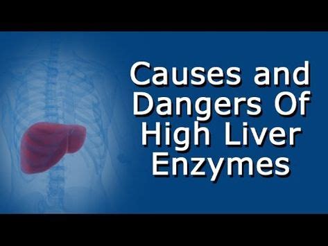 High Liver Enzymes - Causes and Dangers - CLICK HERE for the Liver ...