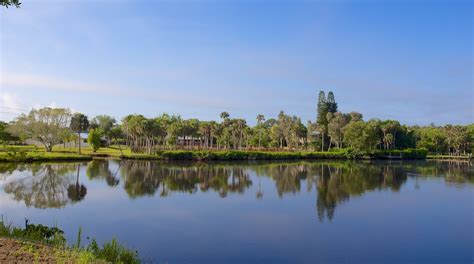 Manatee Park Tours - Book Now | Expedia