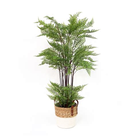 Indoor Fern 100cm tall | The Outdoor Look