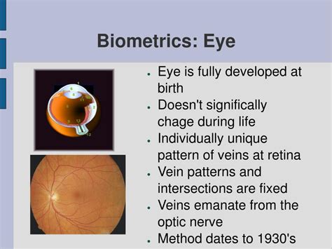 PPT - Retinal Scan PowerPoint Presentation, free download - ID:3643851