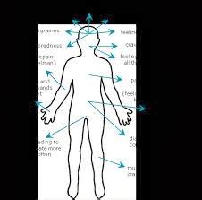 Medical Treatment Pictures-for Better Understanding: Gitelman Syndrome