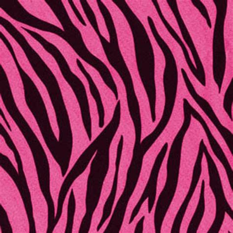 🔥 [50+] Zebra Stripes Wallpapers | WallpaperSafari