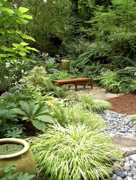 Plants For Rock Gardens In The Shade | Fasci Garden