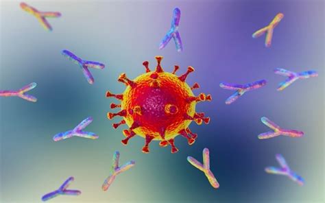 Terapi Antibodi Monoklonal untuk Covid: Cara Kerja, Efektivitas dan ...