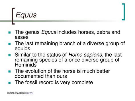 THE EVOLUTION OF THE HORSE (Equus) - ppt download