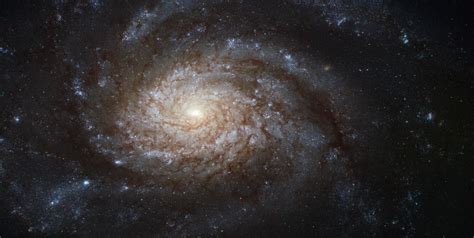 File:NGC 3810 (captured by the Hubble Space Telescope).jpg - Wikimedia ...