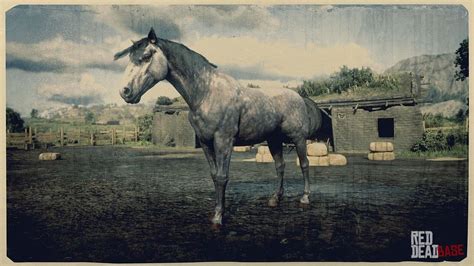 Andalusian Horse | RDR2 Horse Breeds Coats, Locations & Stats