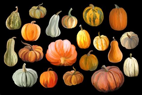 Autumn pumpkins clipart By Vasmila Design | TheHungryJPEG