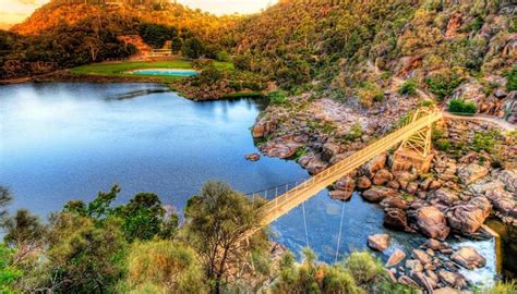 The Cataract Gorge | Magic Millions