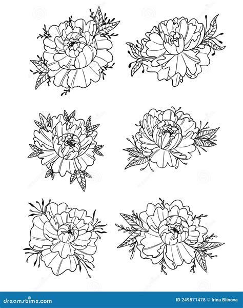 Collection Graphic Illustration Chinese Peony for Tattoo and Print ...