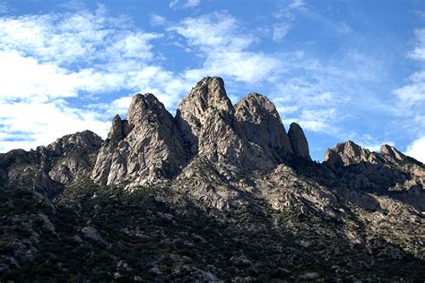 Aguirre Spring - Hiking Pine Tree Trail with Map and Photos - Bryan Berg