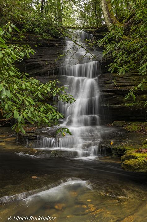 Waterfall in the Daniel Boone forest wilderness. | Small waterfall ...