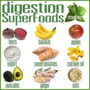 Digestion Super Foods – Forever Natural Wellness