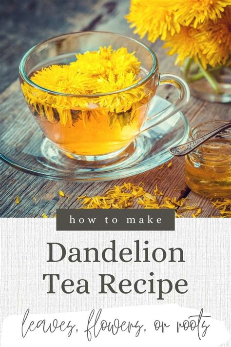 Dandelion Tea Recipe With Leaves, Roots, or Flowers | Recipe ...