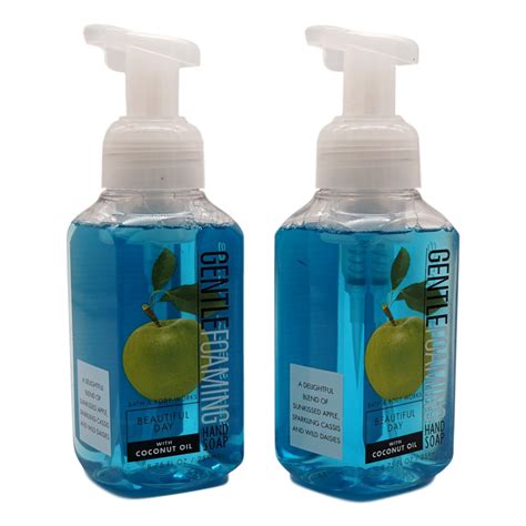 Beautiful Day Gentle Foaming Hand Soap (2 Pack, 8.75 oz each) - Walmart.com - Walmart.com