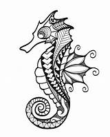 List 103  Pictures Of Seahorses To Draw Latest sketch template