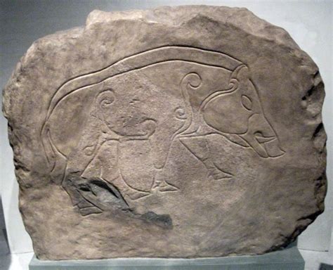 celtic boar - Google Search | History, Ancient mysteries, Scotland history