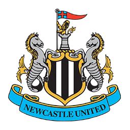 Newcastle United Stadium Tour | Stadium Tours | 20% off with Smartsave