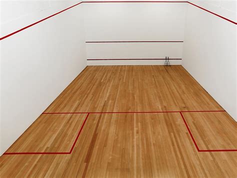 Vaucluse home comes with professional squash court in the backyard ...