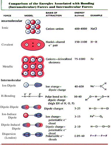 The Science of Intramolecular and Intermolecular Forces