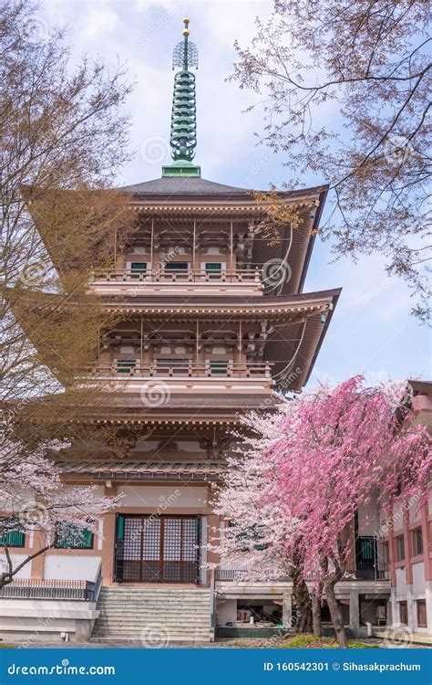 View of Zenkoji Temple at Nagano City with Cherry Blossom Full Bloom ...