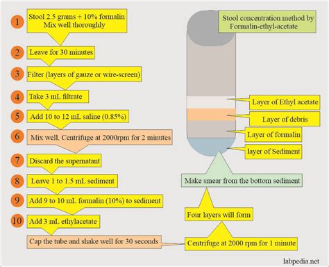 Stool Examination:- Part 2 - Stool Smear Preparation, Stains, Handling, and Preservatives ...