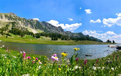 Our Favorite Hiking Trails in Big Sky, MT | Hey Bear