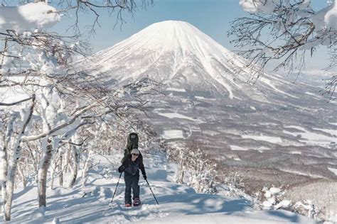 Japan February Season Update – Storms Slow Down as We Head Into Spring | Mountainwatch