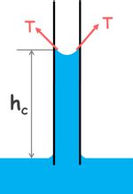 Capillary Rise In Soils - Soil Mechanics - Civil Engineering - Elementary Engineering Library