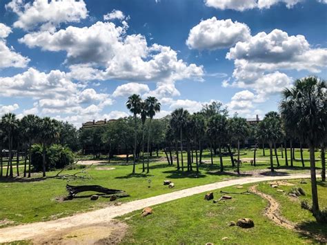 Animal Kingdom Lodge – Savannah View | Wish Upon a Star With Us