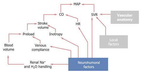 Mean Arterial Pressure Diagram