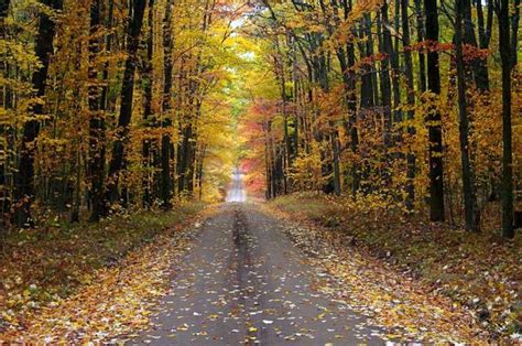 Take a Breathtaking Fall Foliage Drive in Western Pennsylvania | Fall ...