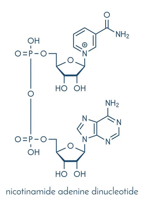 NAD+ Infusion - VITAstir Clinic