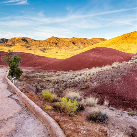 A Trip To John Day Fossil Beds For Four in 2021 | John day, National monuments, Travel