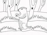 Groundhog coloring Page  ColouringPages sketch template