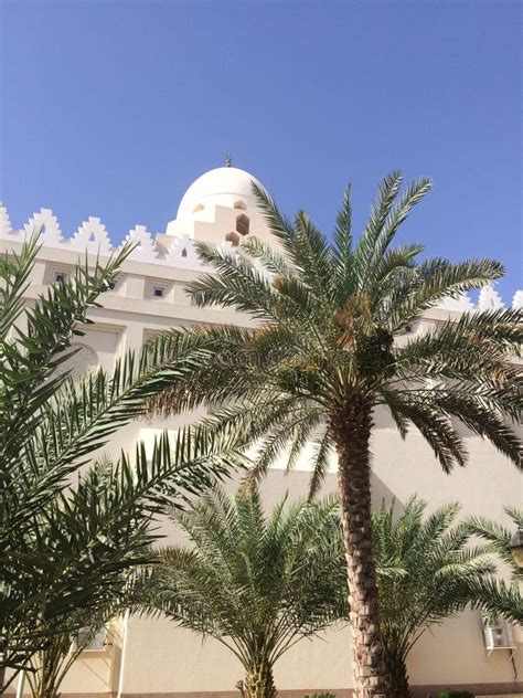 Dawoodi Bohra Community Mosque in Medina - Islamic Sacred City of Al ...