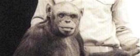 US Lab Engineered 'Humanzee' 100 Years Ago ? - Unexplained Mysteries