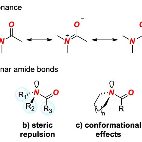 (A) Amide Bond Resonance. (B) Types of Distorted Amide Bonds ...