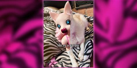 This Viral Filter Is Turning TikTokers’ Dogs Into Cursed Barbies: How ...