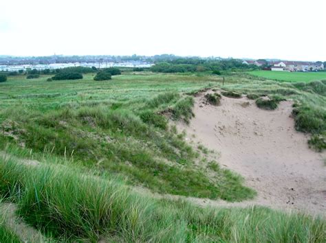 Stevenston Beach - Photo "Stevenston sand dunes" :: British Beaches