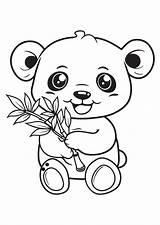 Kawaii Coloring Page Of A Cute Panda Holding Bamboo Shoot Easy Outline  sketch template