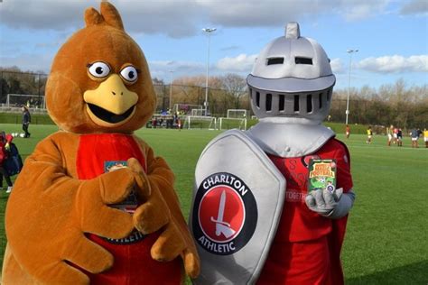 charlton athletic mascot - Google Search | Charlton athletic, English football league, Mascot