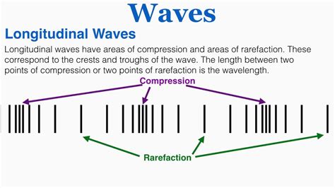 Waves: Amplitude, Period, Frequency, Wavelength, Crests & Troughs, Wavelength of a Longitudinal ...