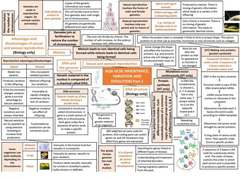 Biology Mind Maps | Biology - Higher GCSE AQA | Thinkswap