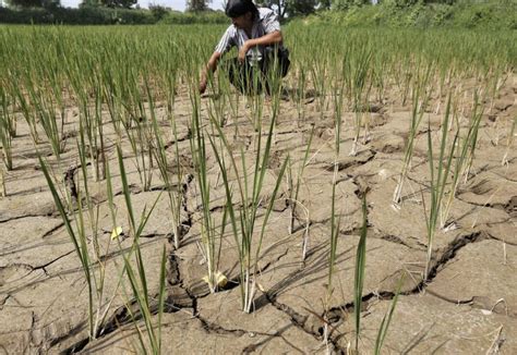 Explainer: How El Nino Could Impact the World's Weather in 2023-24 ...